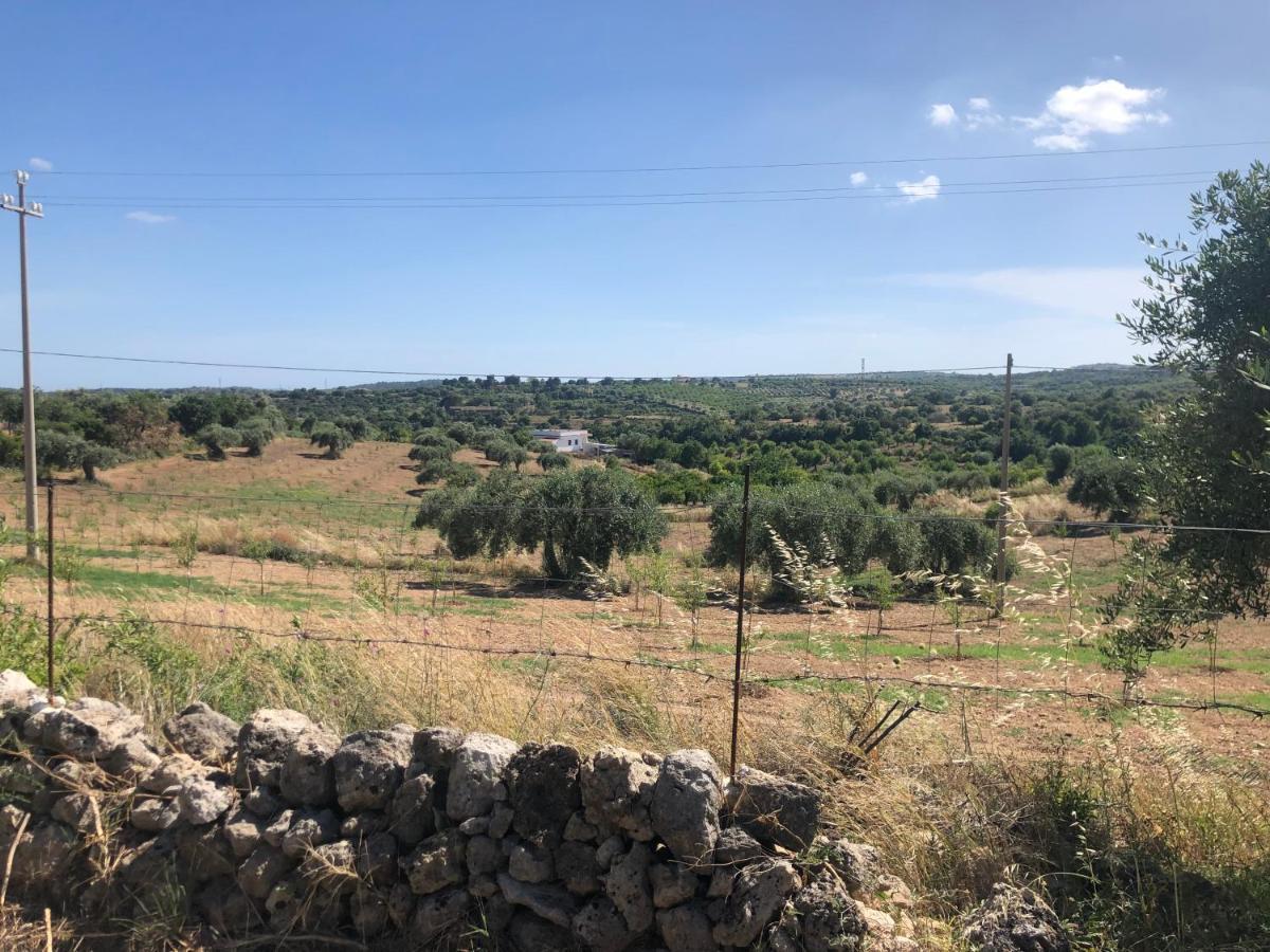 Holiday home Il Lentisco